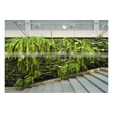 2017 factory price new designed high quality artificial plant wall/plants for sale