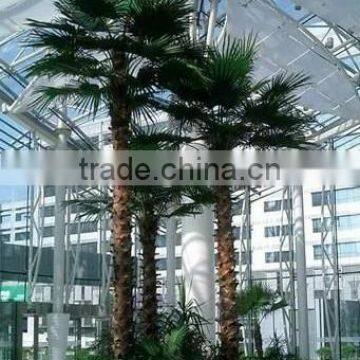 2017 Best Price Artificial Outdoor Palm Tree Plastic Palm Tree photo-5