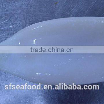 health food of squid tube