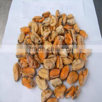 Frozen Boiled Mussel Meat photo-6