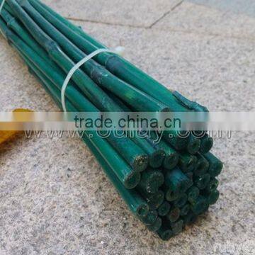 Dyed Different Colors Bamboo Sticks for Garden&agriculture