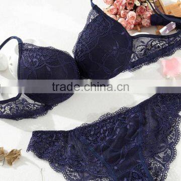 Spot wholesale sexy fancy lace bra and panty set