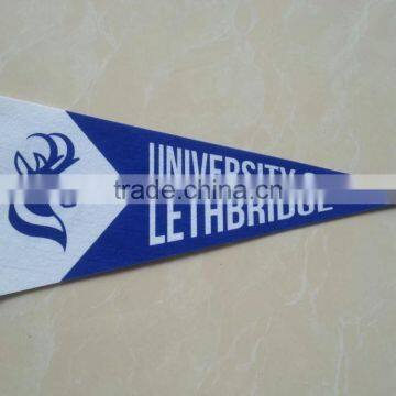 Double Side Printing Pennant photo-3