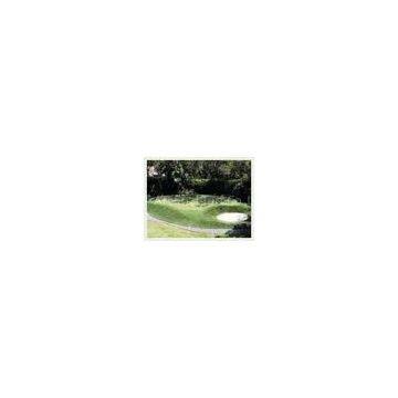 Natural golf artificial turf , decorative artificial grass for sports
