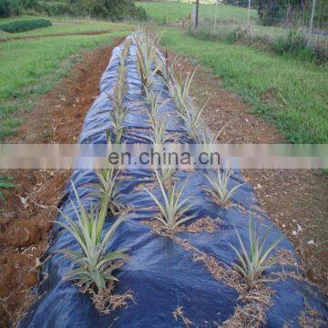 anti UV 110gsm the orchard plastic ground cover