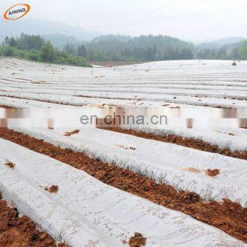 Transparent polyethylene plastic mulch film for agriculture