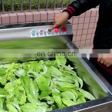 Automatic small orange grape washing machines ozone bubble vegetable washer