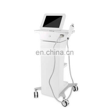 Secret RF fractional RF needle portable microneedle