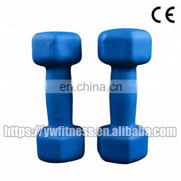 China Factory Price Colorful Fitness Accessories Dumbbell for Sale photo-3