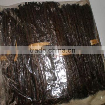 raw material black vanilla beans for sale