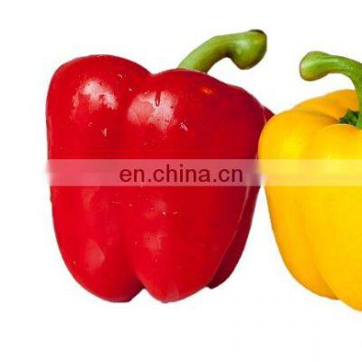 Colored bell pepper Chinese price frozen red pepper frozen red chili with good quality and moderate