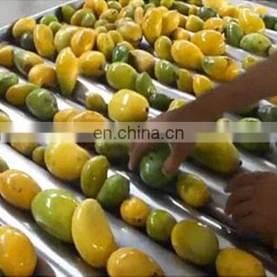 Mango Juicer Production Line Machine Automatic Mango Juice Filling Production Line Machines photo-3