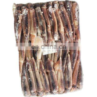 wholesale argentina illex squid frozen illex squid 100-150 150-200 200-300