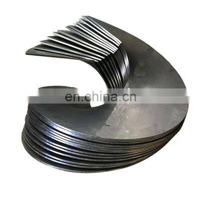 Shaftless Helicoid Screw Flight Auger Flight for Conveyor Machine photo-4