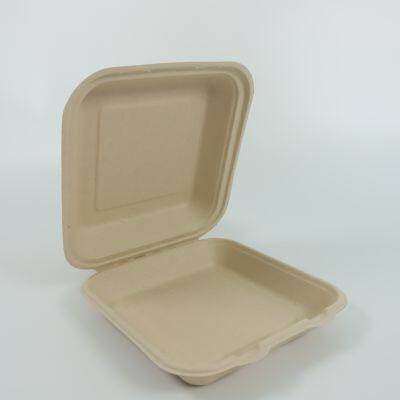 Disposable lunch box Salad box Burger box