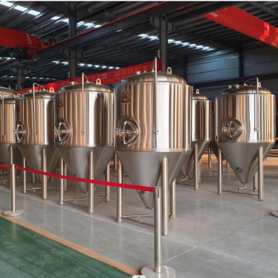 500L fermentation tank