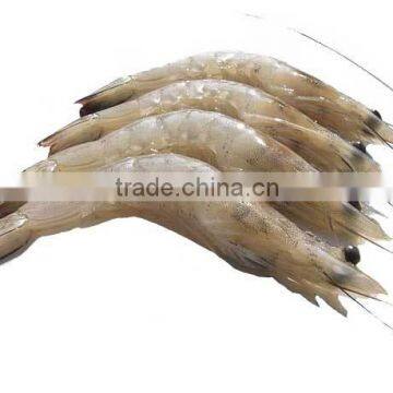 Frozen Vanamei Shrimp photo-2