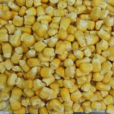 Pure nature organic freeze dried sweet corn