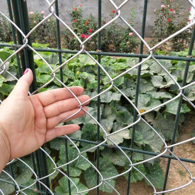 Heißtauchverzinktes Kettenzaunnetz in maßgeschneiderten Höhen und Maschengrößen