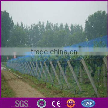 HDPE anti bird net which exported to Australia, USA, Korea