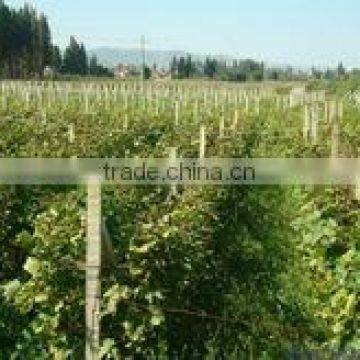 Precast Mould Machine for Making Pilars photo-2