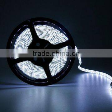 240 Led per Meter Double Row SMD 3014 LED Flexible Strip photo-4