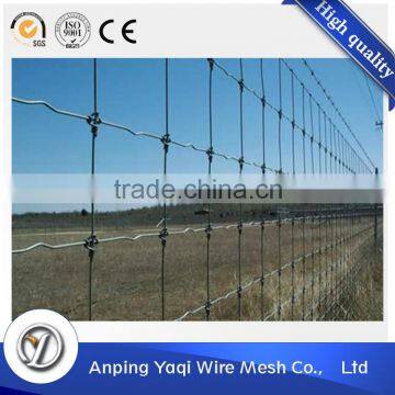 hinge joint /farm guard field fence/cattle field fence/field fence