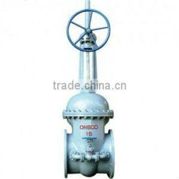 Spur gear gate valve