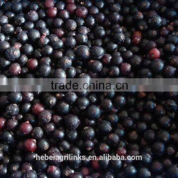 IQF style Chinese fresh blackcurrant