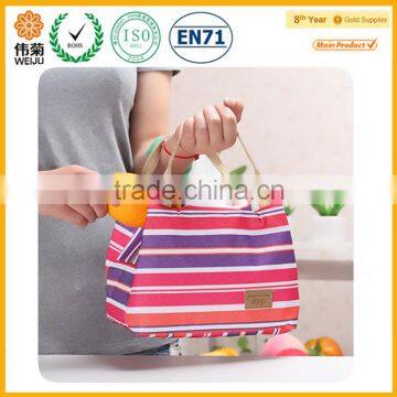 Famous Brand Cooler Bag for Frozen Food