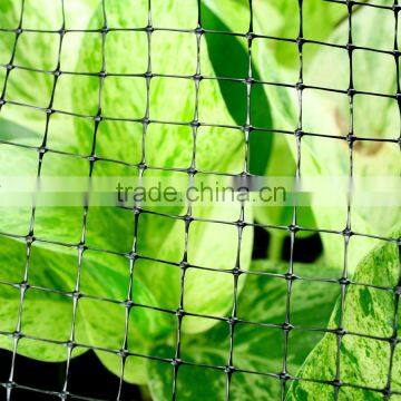 100% virgin pp material orchard bird proof netting,15mm x 15mm,35g per sqm