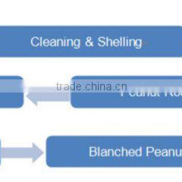 Best Selling High Praised Best Selling Peanut Roasting Blanching Line photo-6