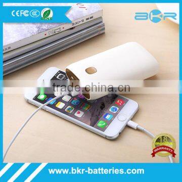 2-Output Portable External Power Bank Battery Charger Pack for iPhone 6/5/4/iPad/iPod/Samsung Devices/Smart Phones/Tablet
