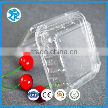 Custom transparent disposable blister fruit package container