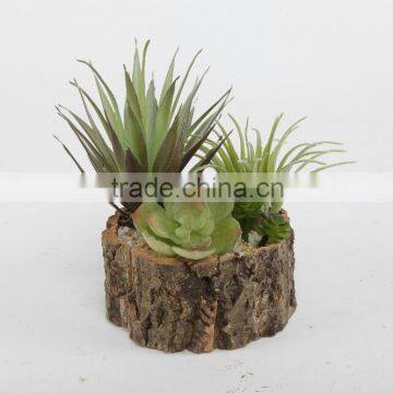 China Wholesale Decorative succulents resin pot Planters