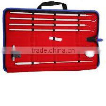 Equine dental tools kit