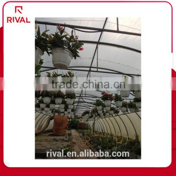 Factory price Transparent Plastic Film For Green House