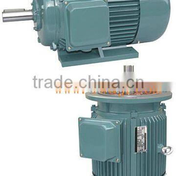 ELECTRIC MOTOR