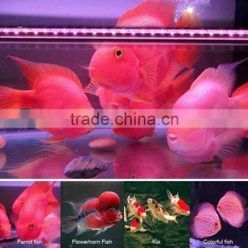 24W energy saving LED aquarium led lighting