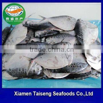 Cheap Frozen WR Moonfish wholesale price for promotion