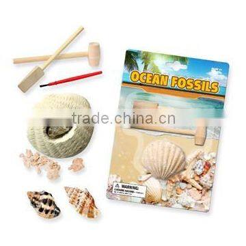 Dig and Discover dig it out Ocean Life Excavation Fossils (sea shell) dig kit