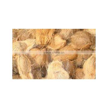 Husked Coconuts From Tamilnadu photo-6