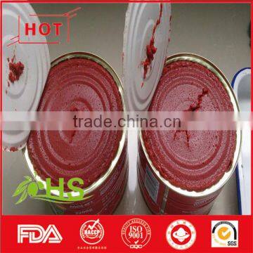 Tomato paste in tins/cans/drum