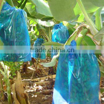 Banana Growing Plastic Bag photo-5