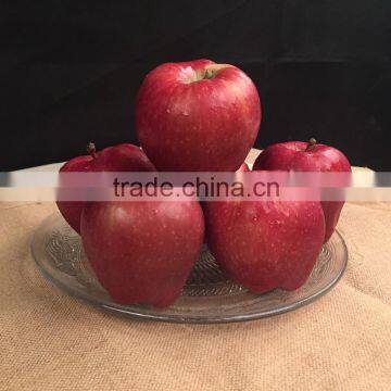 2016 Huaniu Apple Fresh Apple China Gansu Tianshui Huaniu Apple photo-2