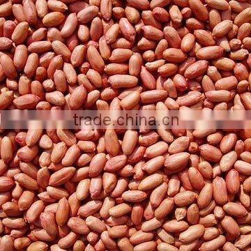 Red Peanut