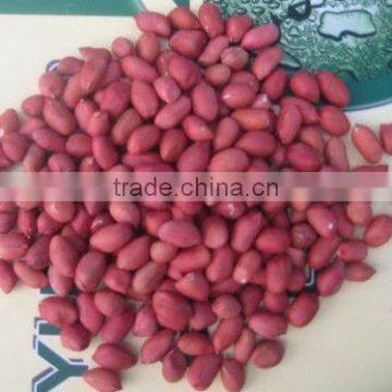 Good Quality Red Skin Peanut Kernels photo-2
