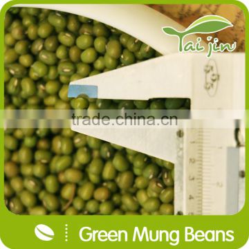 Big Size Sprouting GREEN MUNG BEAN,3.6mm--4.0mm