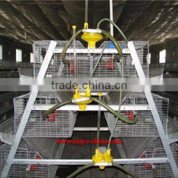 Taiyu Design Day Old Chicks Cage for Sale
