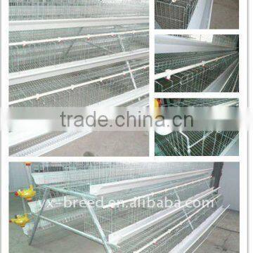 Automatic poultry farming equipment